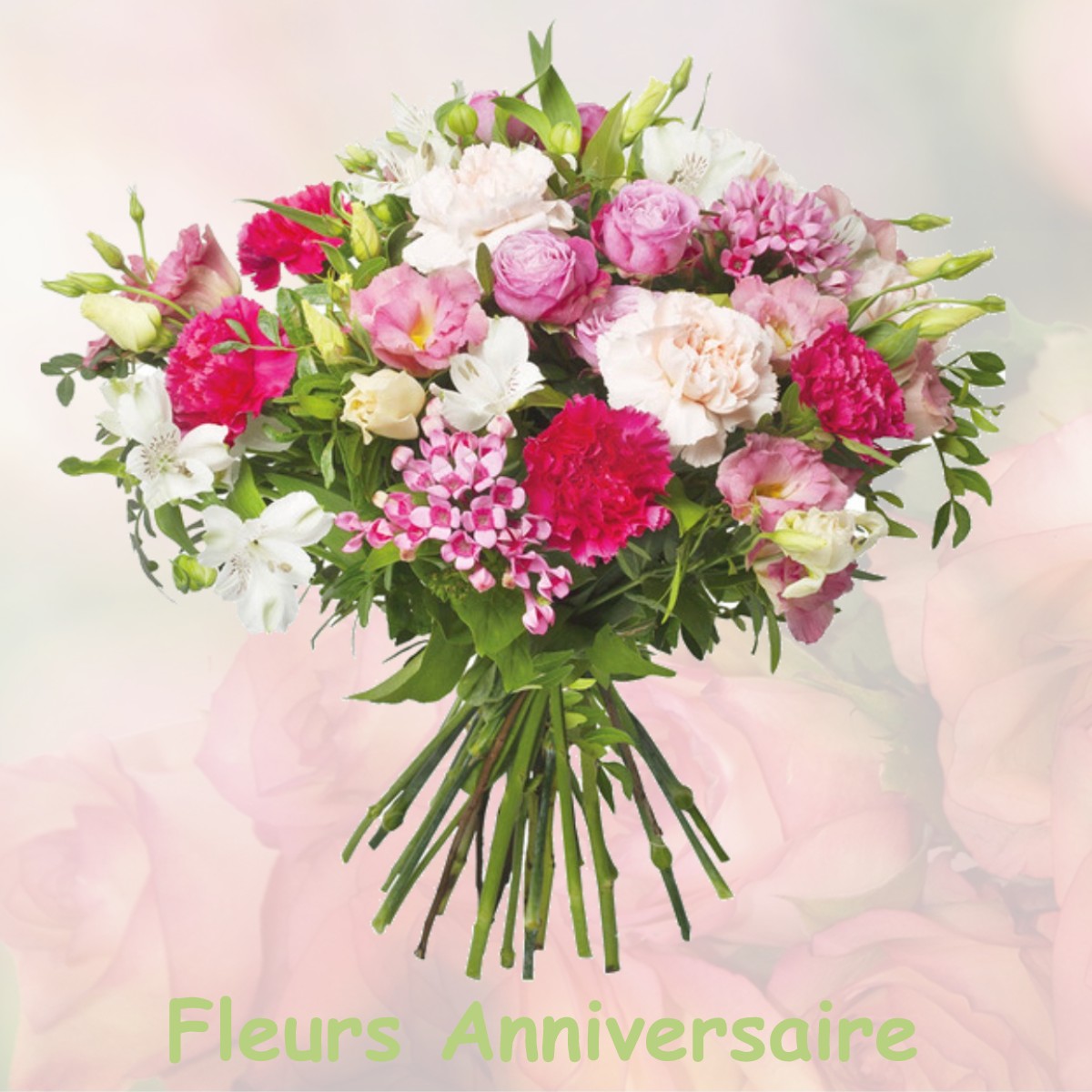 fleurs anniversaire MONFERRAN-SAVES
